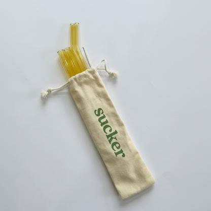 Travel Glass Combo Straw Set