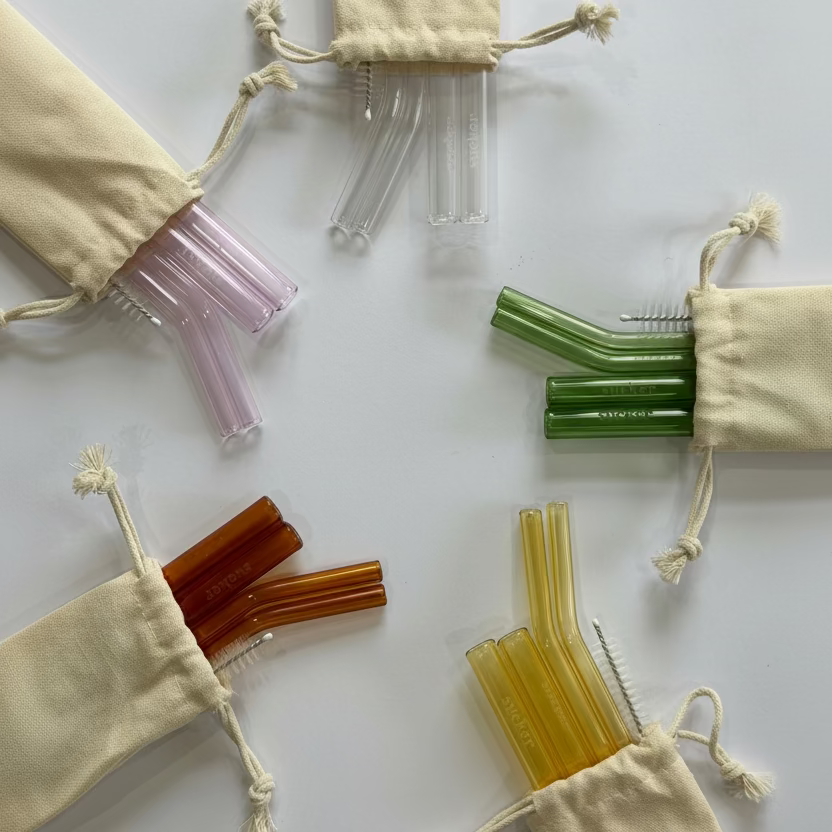 Travel Glass Combo Straw Set