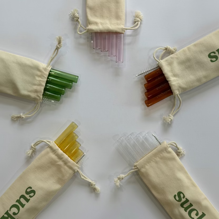Travel Glass Smoothie Straw Set
