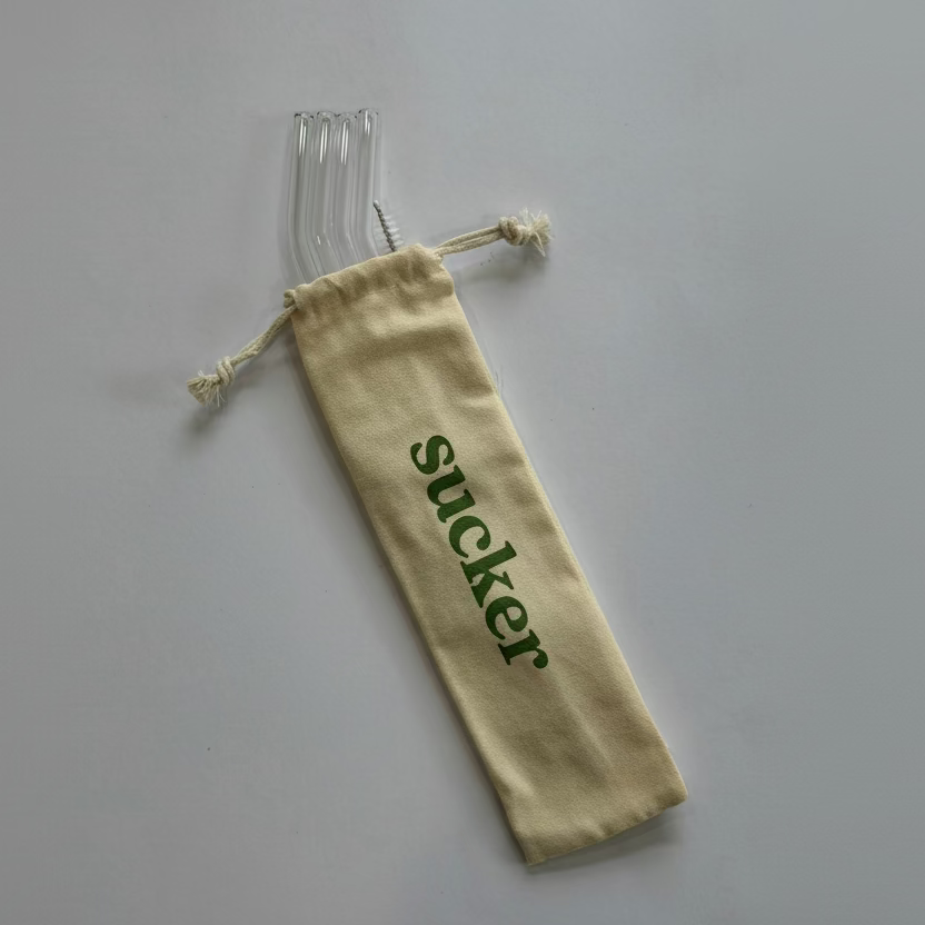 Travel Glass Drinking Straw Set