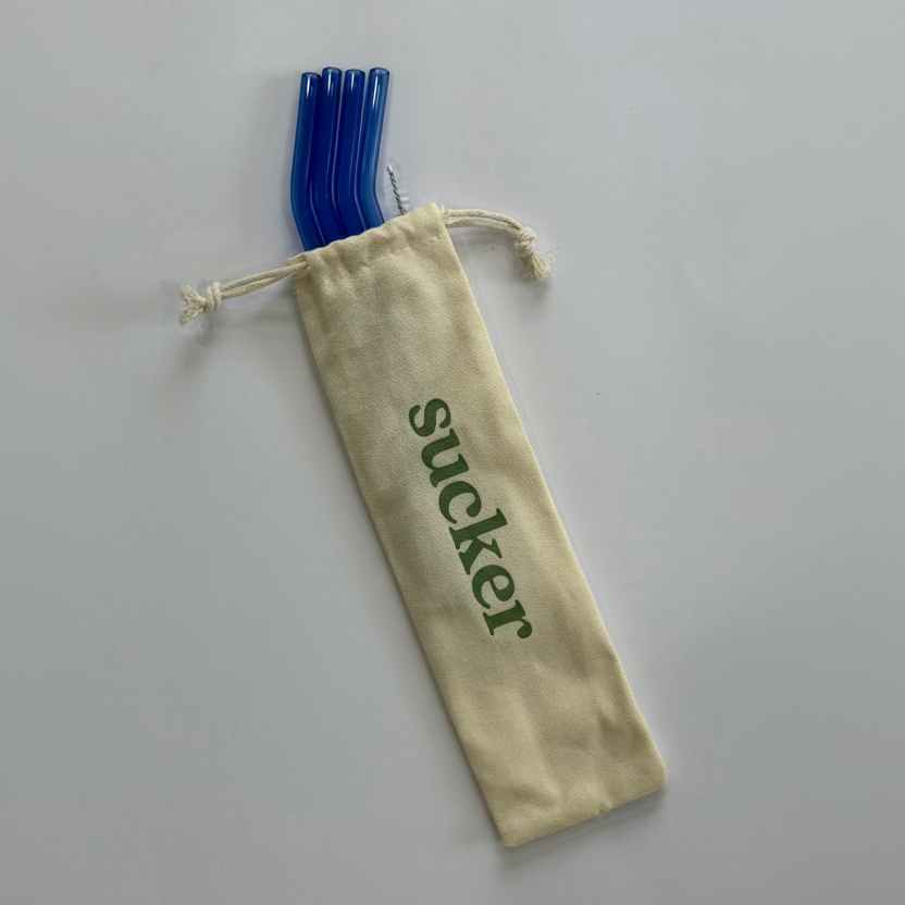 Travel Glass Drinking Straw Set