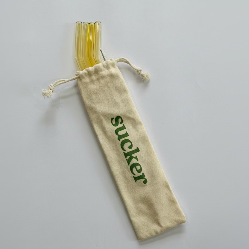 Travel Glass Drinking Straw Set