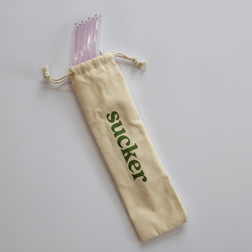 Travel Glass Drinking Straw Set