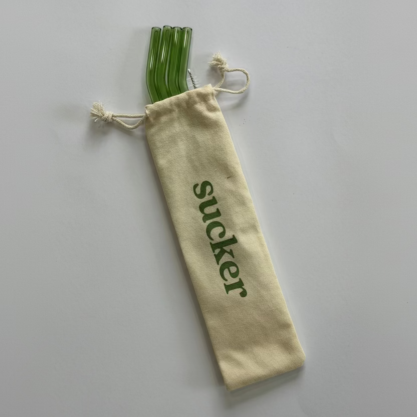 Travel Glass Drinking Straw Set